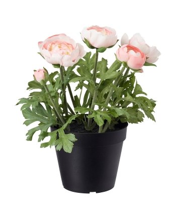 Artificial potted plant, in/outdoor/Ranunculus pink, 12 cm