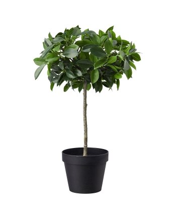 Artificial potted plant, in/outdoor/Weeping fig stem, 12 cm