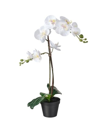 Artificial potted plant, Orchid white, 12 cm