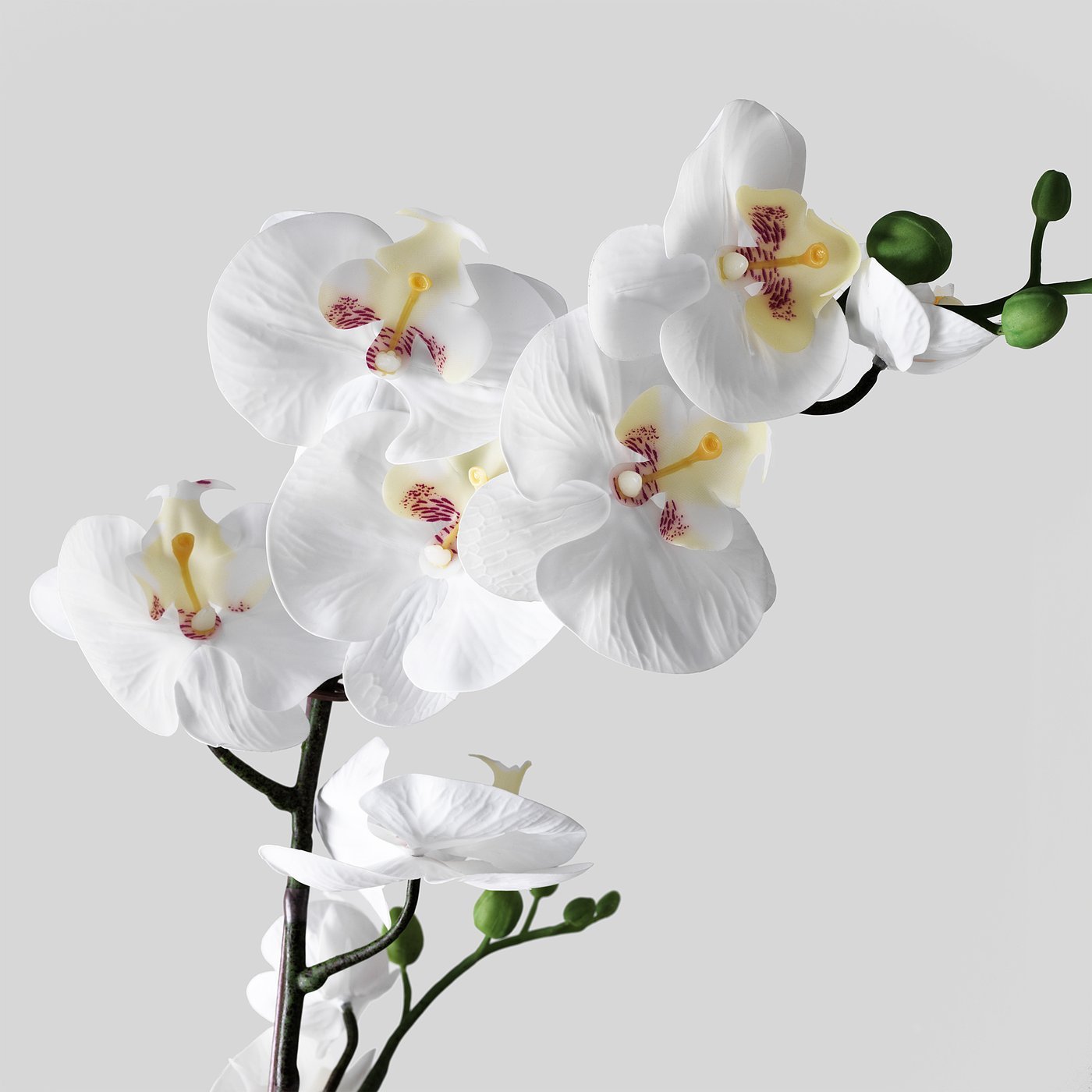 Artificial potted plant, Orchid white, 12 cm